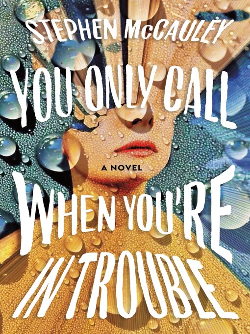 Title details for You Only Call When You're in Trouble by Stephen McCauley - Wait list